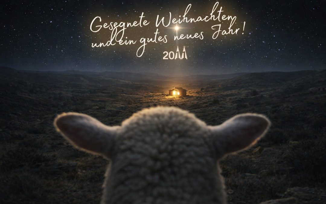 Manchmal reicht ein Perspektivwechsel