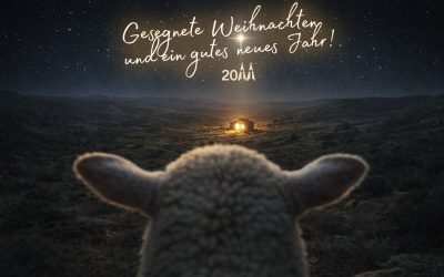 Manchmal reicht ein Perspektivwechsel